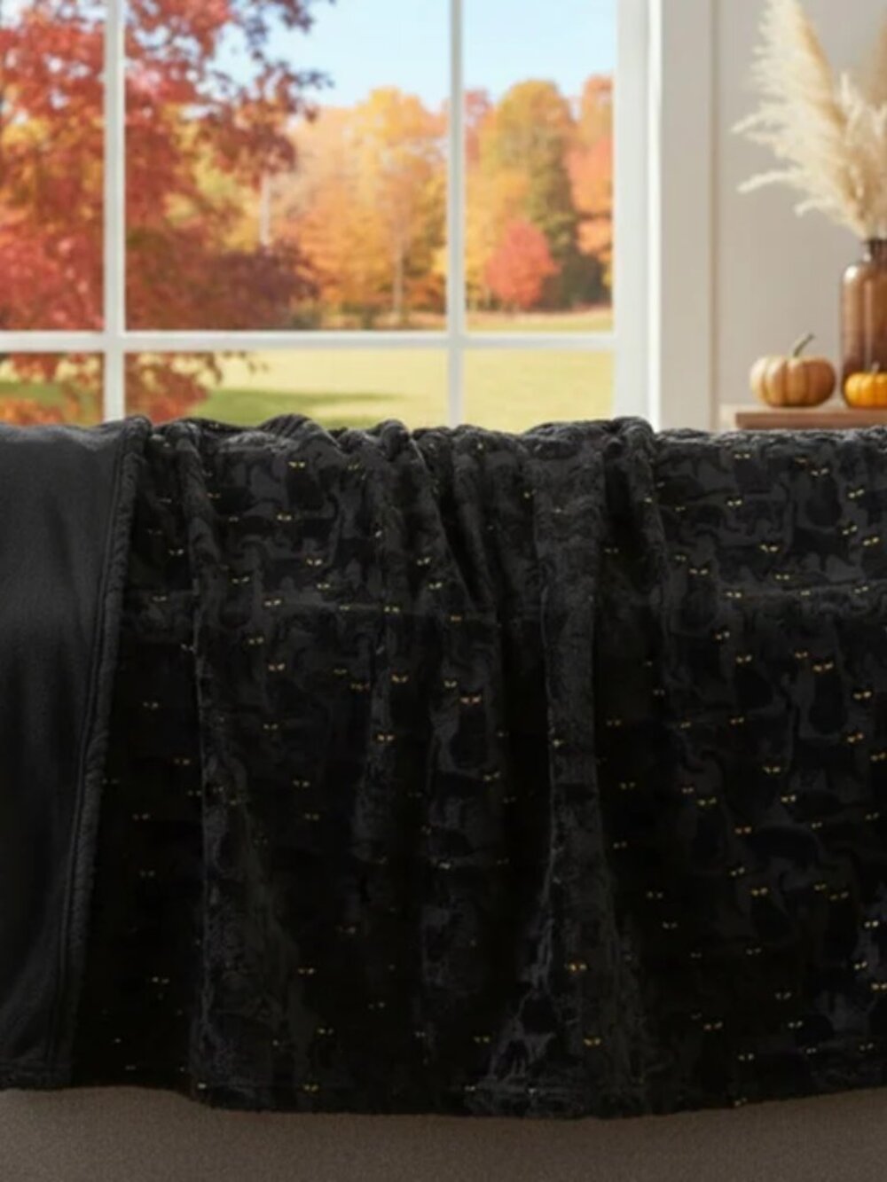 New Black Cat Throw blanket Halloween